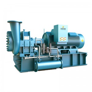 Bơm chân không ly tâm SUCCESS ENGINE